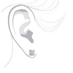 14K White Gold Invisible Set Princess Diamond Stud Earrings 0.55ct 12 14K White Gold Invisible Set Princess Diamond Stud Earrings 0.55ct -H'Hen Sale Store 14k invisible set princess diamond stud earrings 060ct p 6163 bodwh