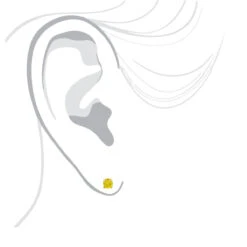 14K Yellow Gold Round Canary Yellow Diamond Stud Earrings 1/2ct 9 14K Yellow Gold Round Canary Yellow Diamond Stud Earrings 1/2ct -H'Hen Sale Store 14k round canary yellow diamond stud earrings 12ct p 6155 bodye