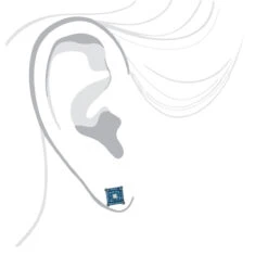 Blue White Diamond Earrings Studs 0.61ct Sterling Silver -H'Hen Sale Store blue white diamond earrings studs 061ct sterling silver 3