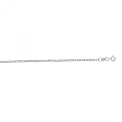 Hollow 14K White Gold Rolo Chain For Men & Women 2mm Wide